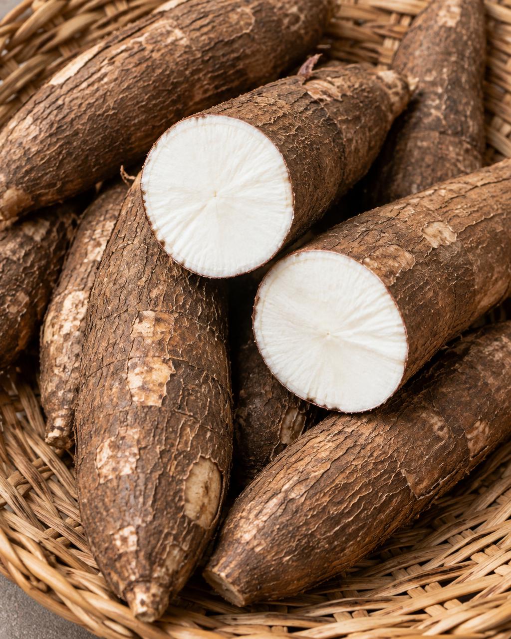 Fresh yuca roots in a woven basket, two cut open to show the white flesh
